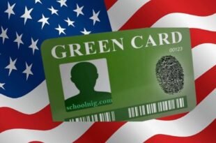 Free Green Card Application
