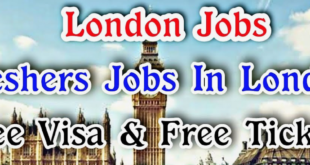 Which Companies Provide Visa Sponsorship Canada