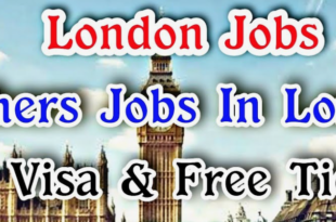 Which Companies Provide Visa Sponsorship Canada