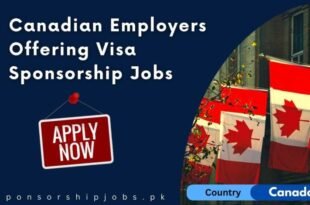 Which Companies Provide VISA Sponsorship Canada