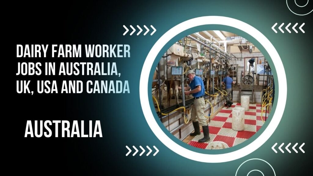 Dairy Farm Worker Jobs in Australia, UK, Usa And Canada