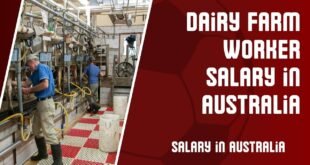 Dairy Farm worker Salary in Australia