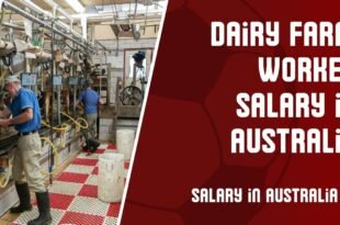 Dairy Farm worker Salary in Australia