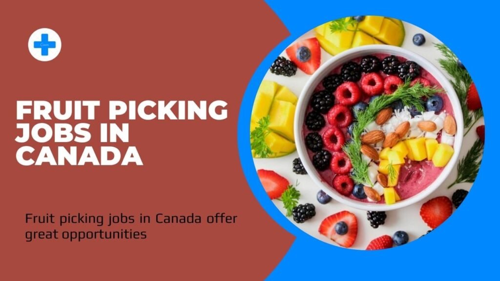 Fruit Picking Jobs in Canada with VISA Sponsorship