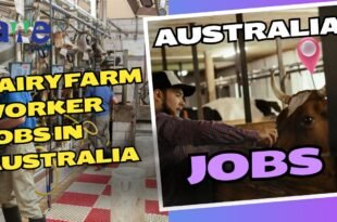 Dairy Farm Worker Jobs in Australia