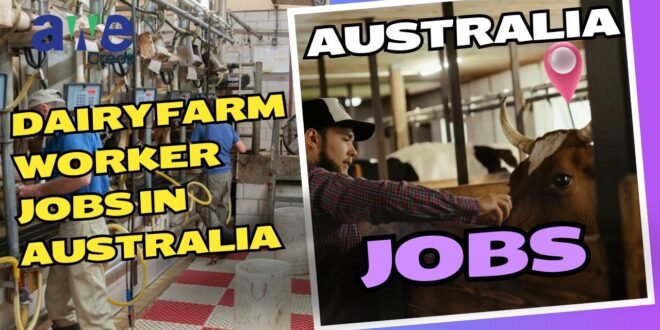 Dairy Farm Worker Jobs in Australia