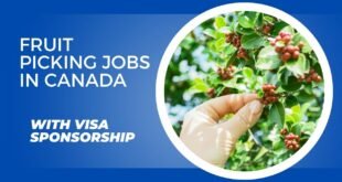 Fruit Picking Jobs in Canada with VISA Sponsorship