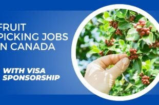 Fruit Picking Jobs in Canada with VISA Sponsorship