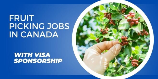 Fruit Picking Jobs in Canada with VISA Sponsorship