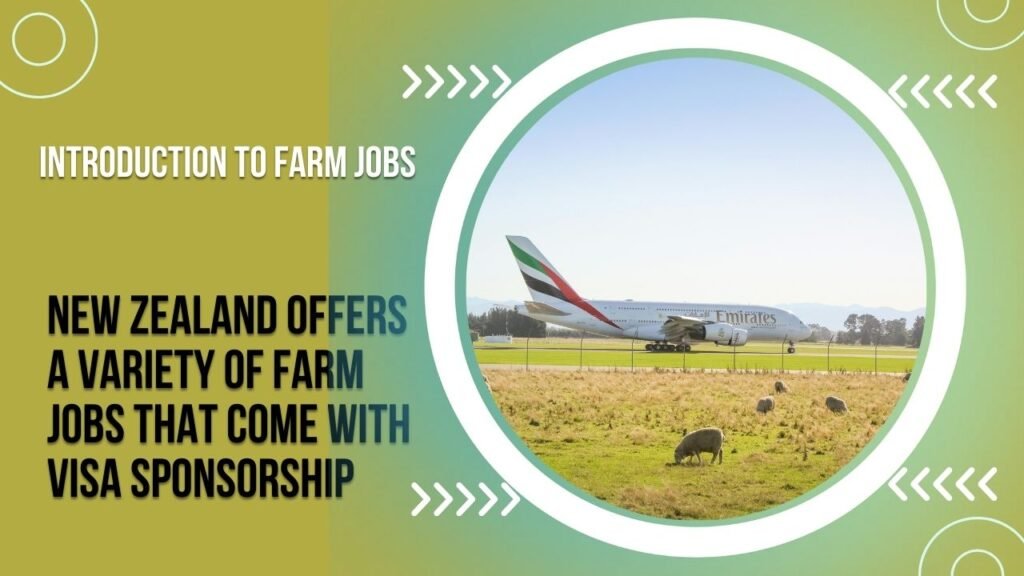 New Zealand Farm Jobs with VISA Sponsorship