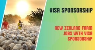 New Zealand Farm Jobs with VISA Sponsorship