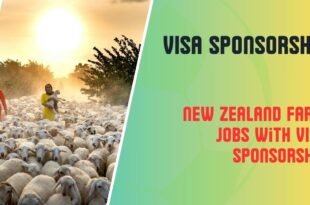 New Zealand Farm Jobs with VISA Sponsorship