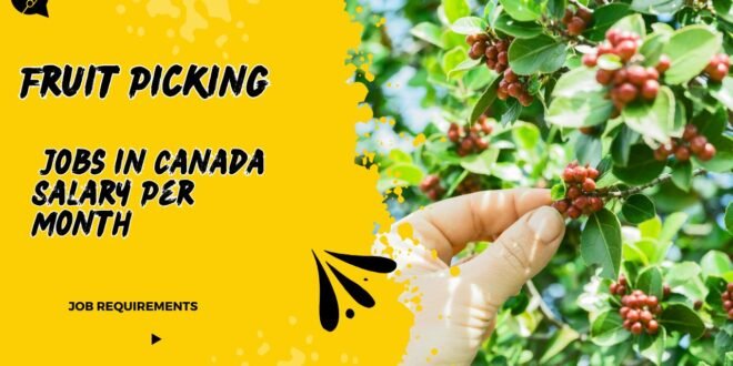 Fruit Picking Jobs in Canada Salary Per Month