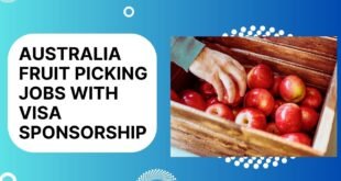 Australia Fruit Picking Jobs with VISA Sponsorship