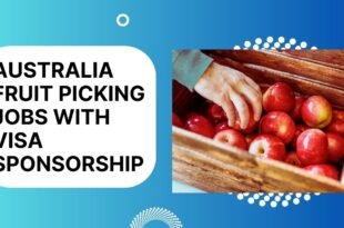 Australia Fruit Picking Jobs with VISA Sponsorship