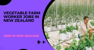 Vegetable Farm Worker Jobs in New Zealand